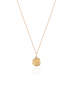 Capricorn Sign Gold Necklace